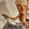 Biker 7 Biker
