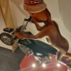 Biker 8 Biker